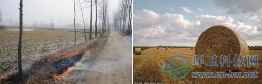 目前，我國各類秸稈年產(chǎn)量約為10億噸